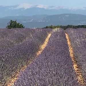 Provence Luberon Location Chez Marcelle Appartement Bonnieux